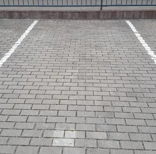 Vanagupe Pas Laima Palanga